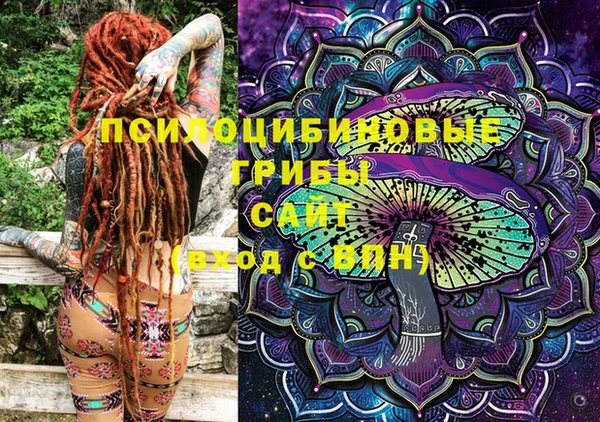 трава Тында