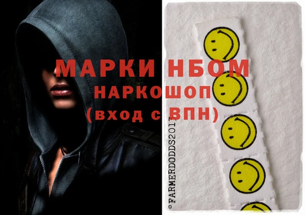 молекула духа Туринск