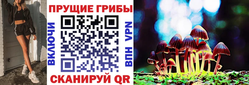 Галлюциногенные грибы мицелий  Купить закладки  Тайшет 