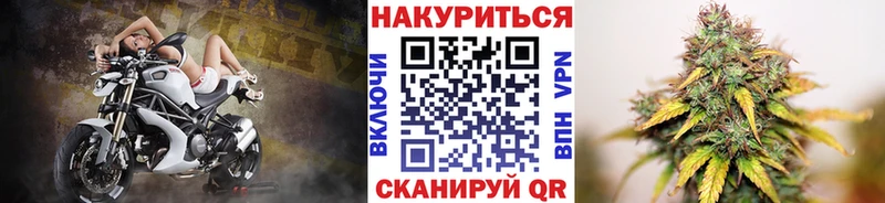 Купить где  Тайшет  Марихуана семена 